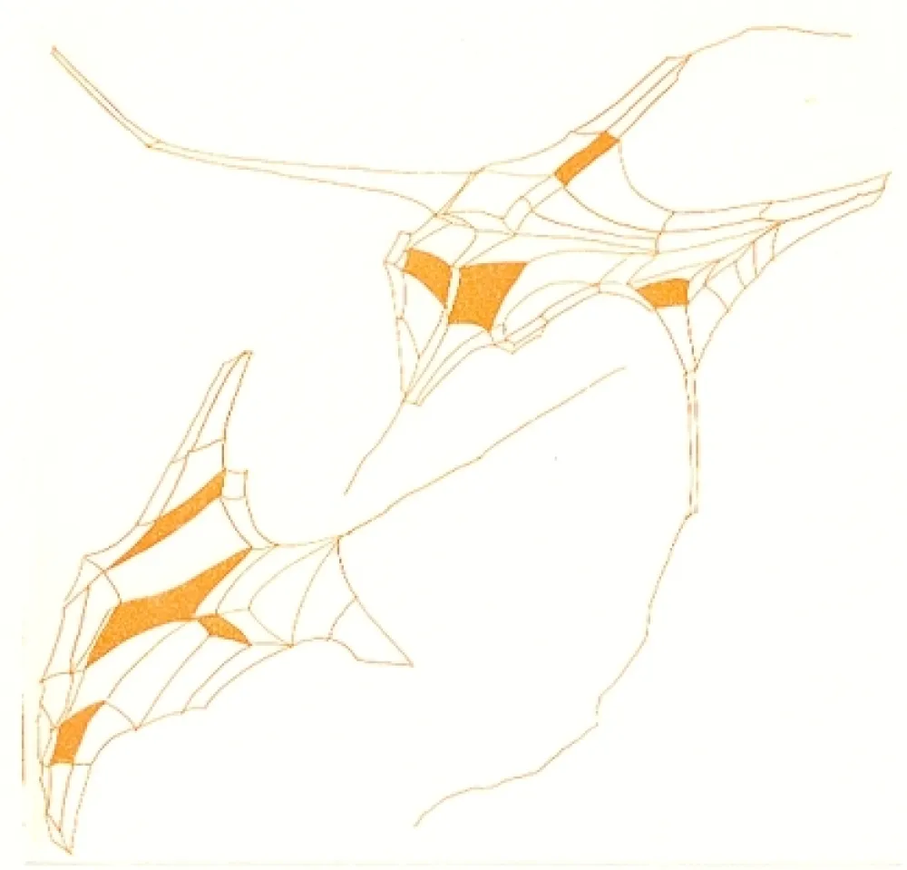 Libro Ilustrado Perilli - Phrases