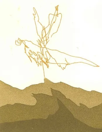 Libro Ilustrado Perilli - PTYX