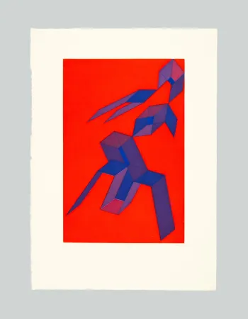 Aguafuerte Y Aguatinta Perilli - Rodra