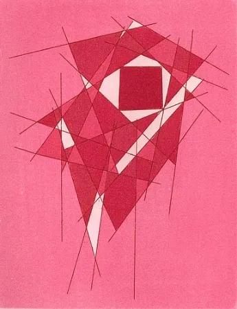 Libro Ilustrado Perilli - Stoikheia