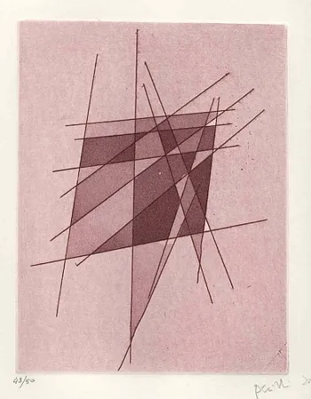 Libro Ilustrado Perilli - Sylvatica