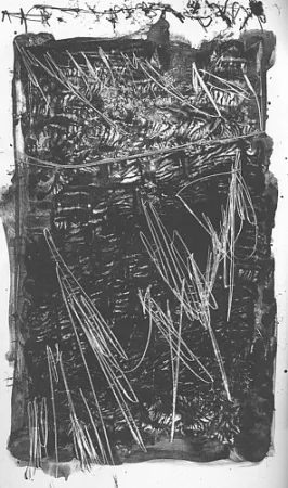 Libro Ilustrado Perilli - Theatrum Sanitatis