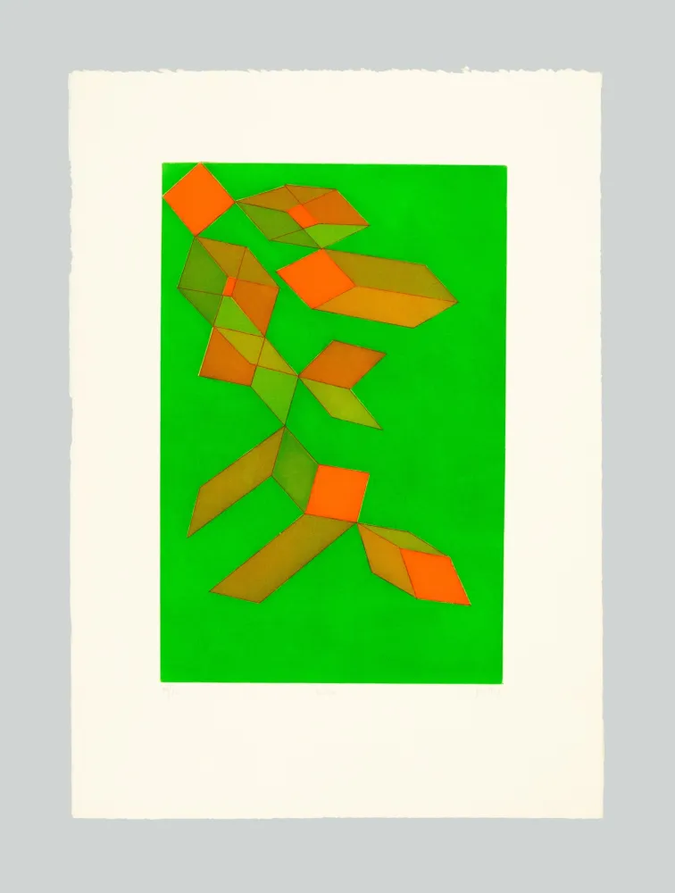 Aguafuerte Y Aguatinta Perilli - Vedra