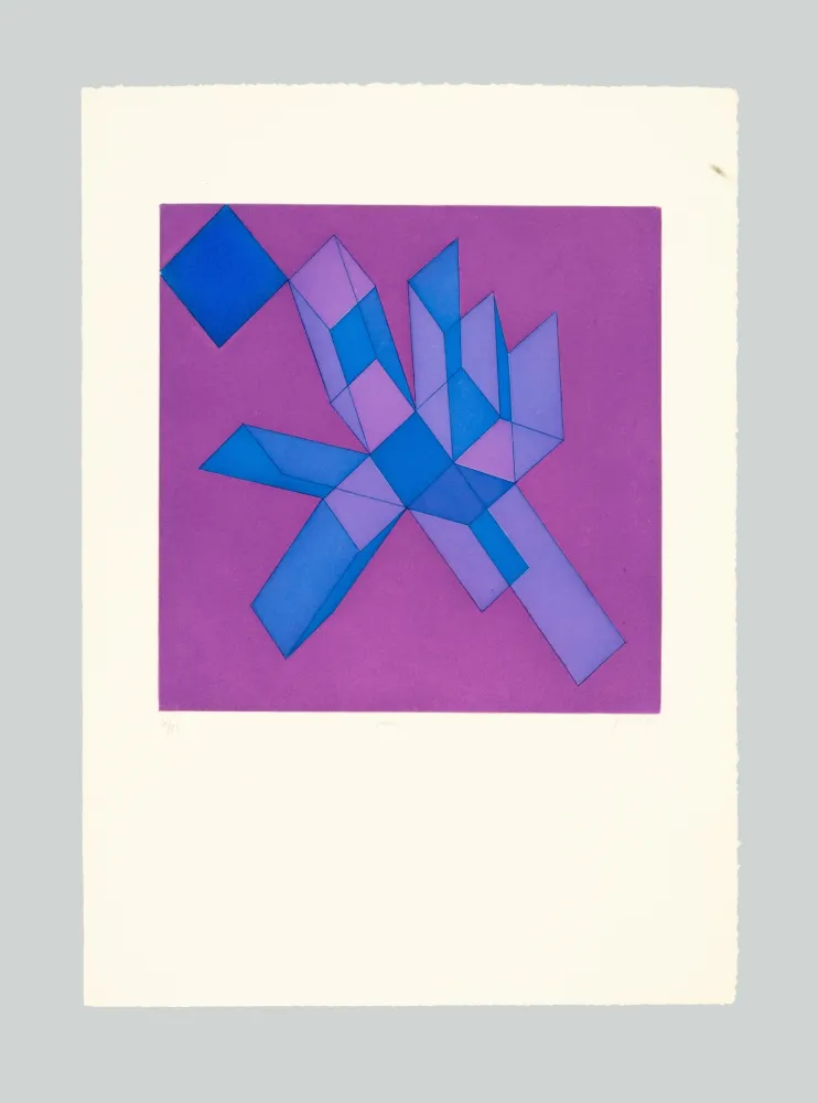 Aguafuerte Y Aguatinta Perilli - Viodra