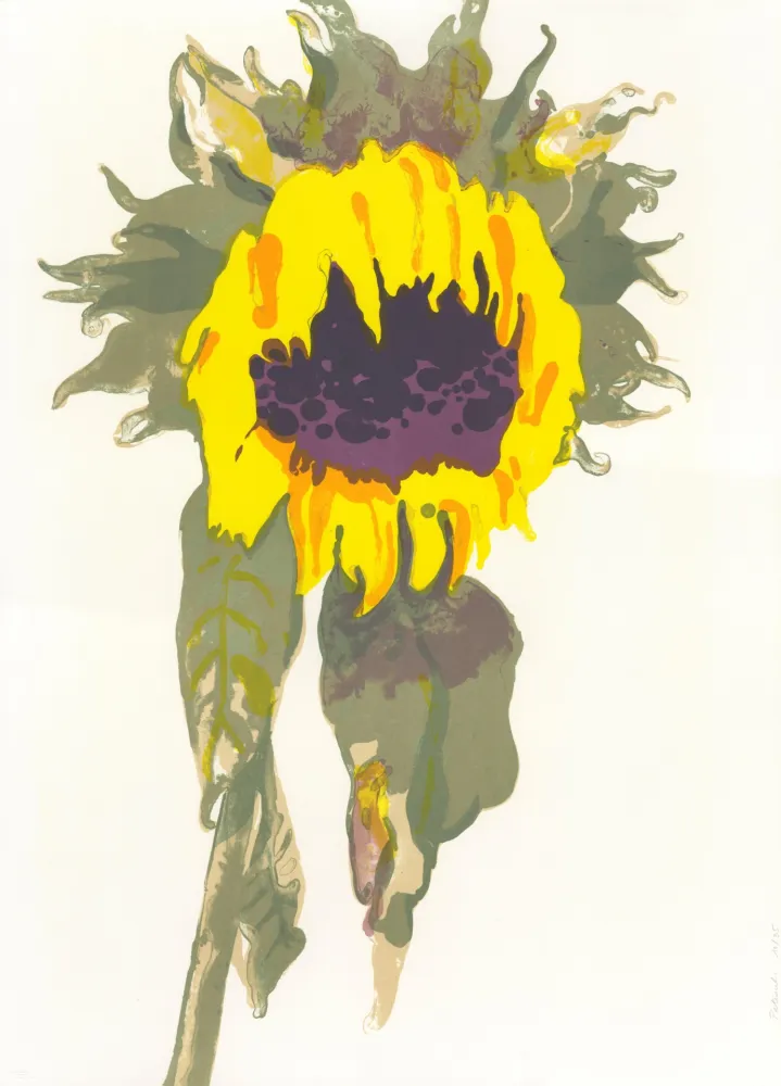 Litografía Pétrovitch - Soleil