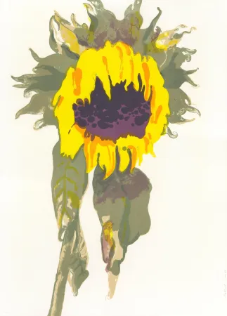 Litografía Pétrovitch - Soleil