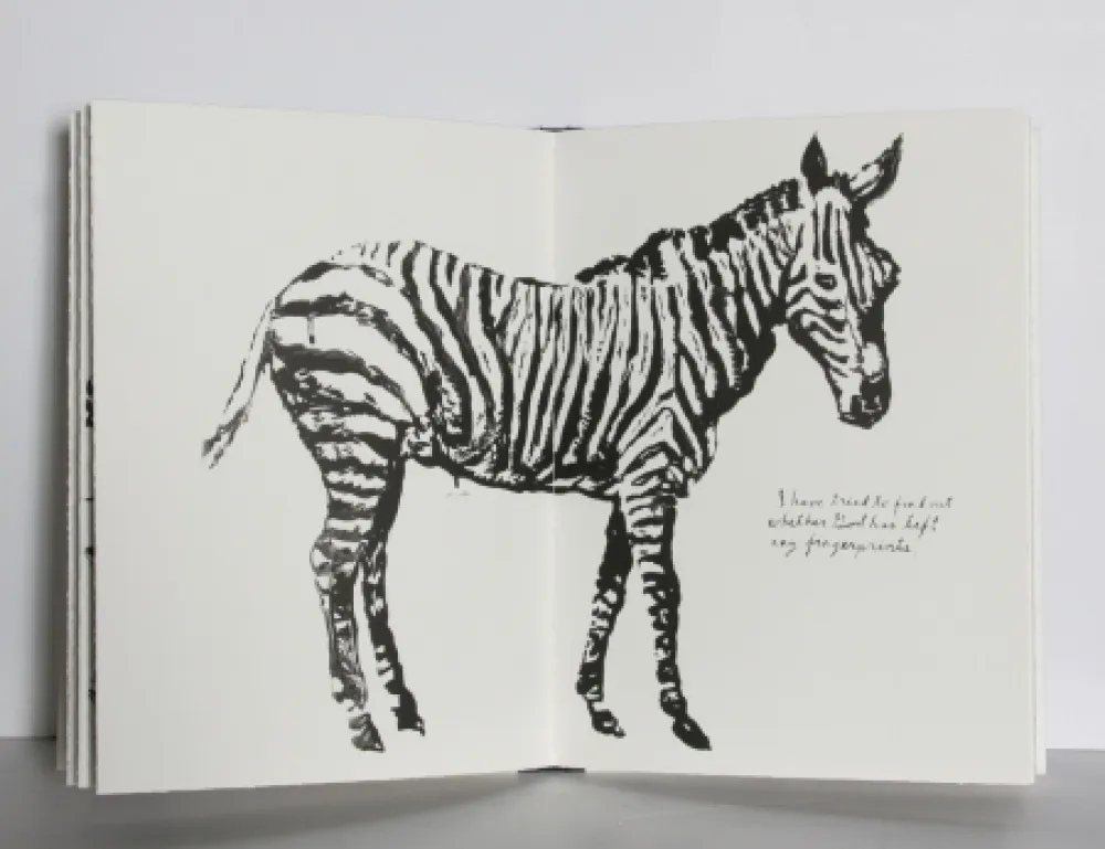 Libro Ilustrado Pettibon - Plots on Loan