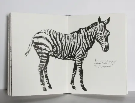 Libro Ilustrado Pettibon - Plots on Loan