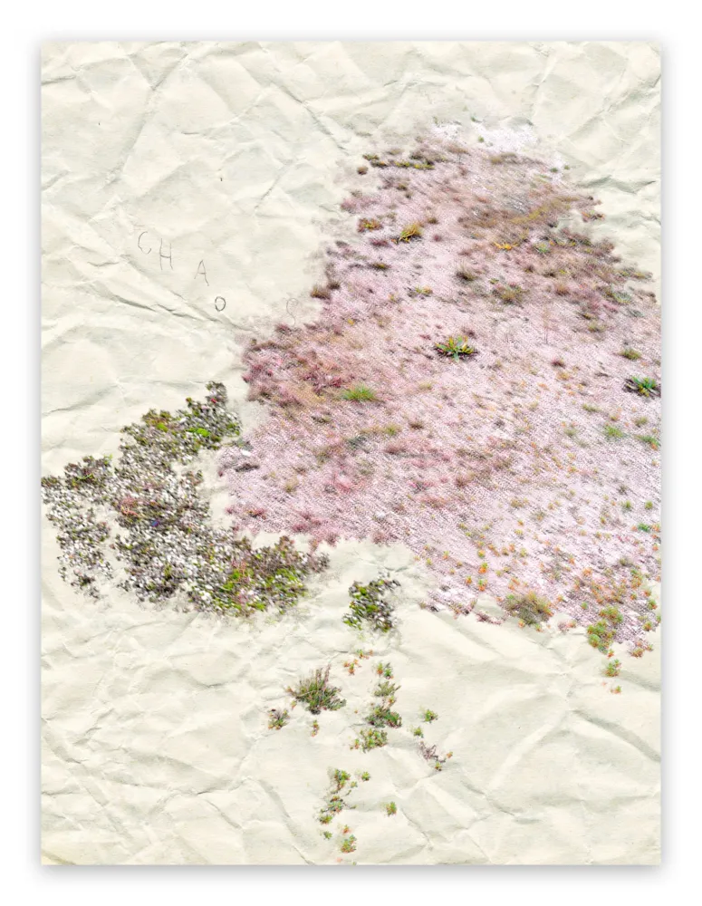 Fotografía Pezzot - I. Anthropological Purity