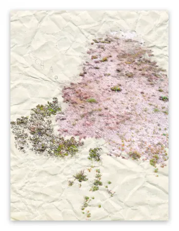 Fotografía Pezzot - I. Anthropological Purity