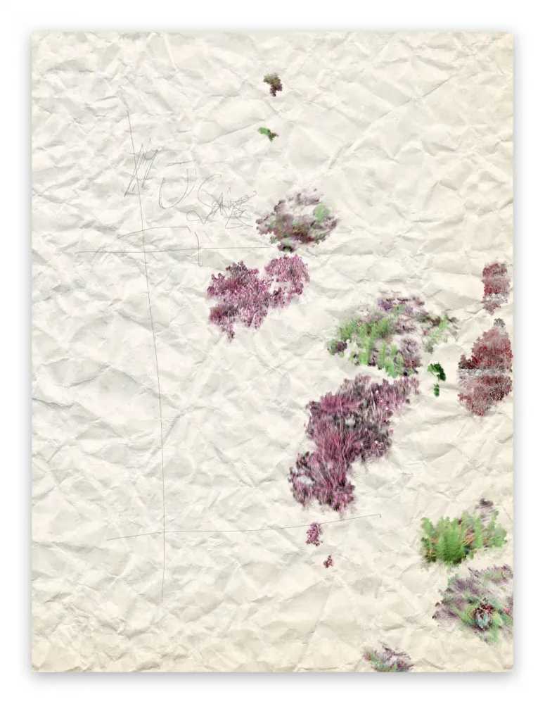 Fotografía Pezzot - II. Marvellous Unconsciousness