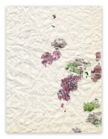 Fotografía Pezzot - II. Marvellous Unconsciousness