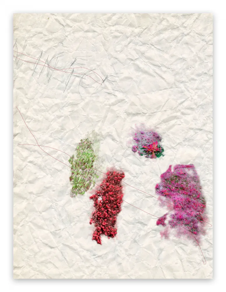 Fotografía Pezzot - IV. Nice