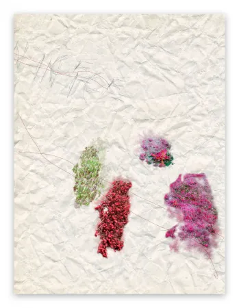 Fotografía Pezzot - IV. Nice