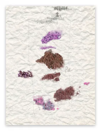 Fotografía Pezzot - V. Dogmatic Thinking