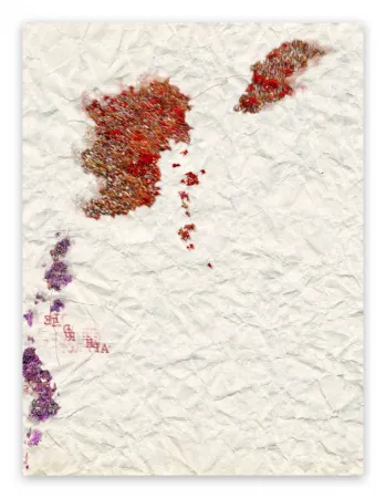 Fotografía Pezzot - VII: Istinto Primordiale