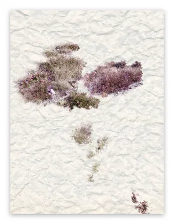 Fotografía Pezzot - VIII: The Unselfconsciousness Of Eros