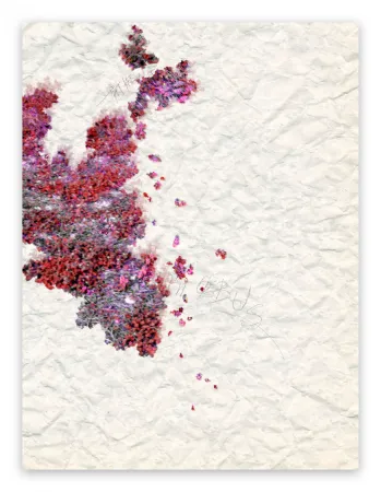 Fotografía Pezzot - X: Pleasant Dementia