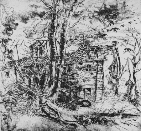 Aguafuerte Piacesi - Abbandono