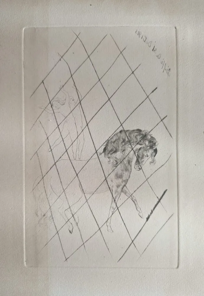 Punta Seca Picasso - Au cirque