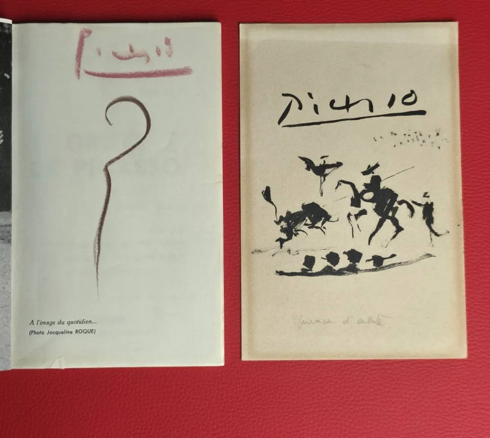 Libro Ilustrado Picasso - Griffes de Picasso 