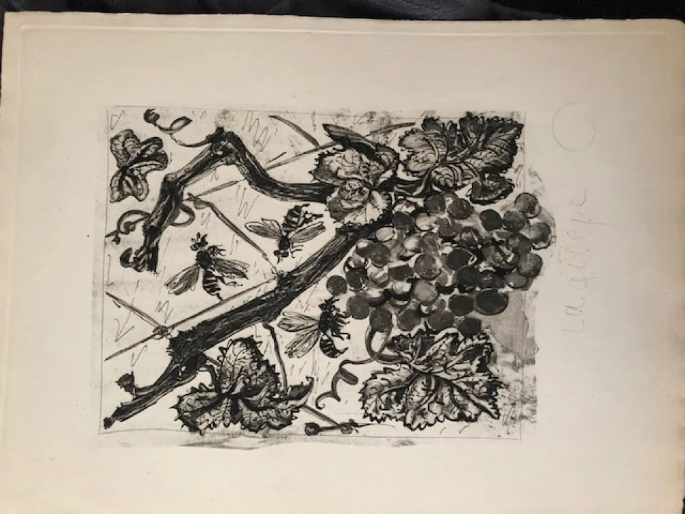 Aguatinta Picasso - La guêpe