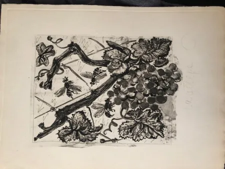 Aguatinta Picasso - La guêpe