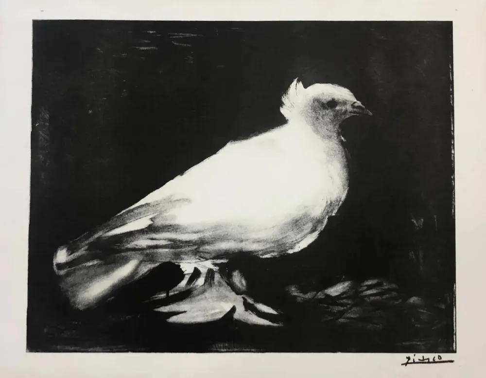 Litografía Picasso - La petite Colombe