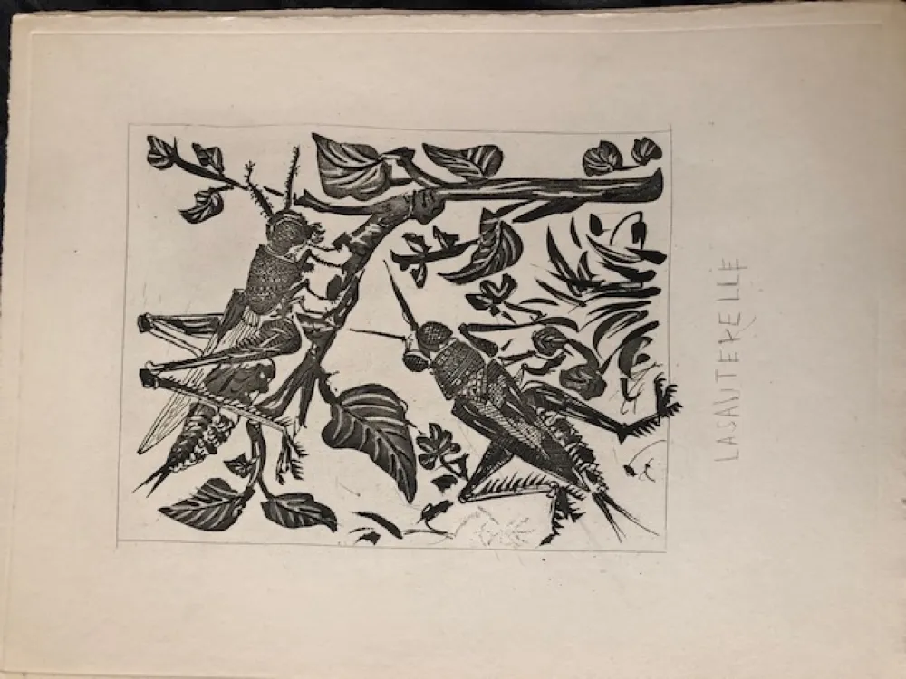 Aguatinta Picasso - La sauterelle