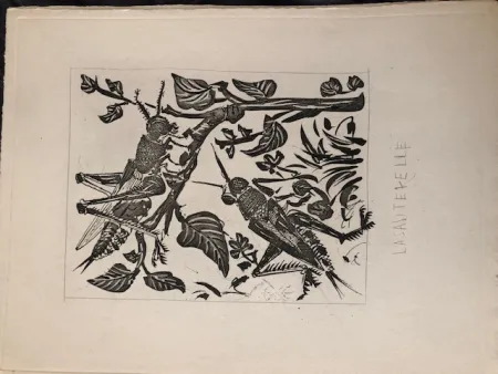 Aguatinta Picasso - La sauterelle