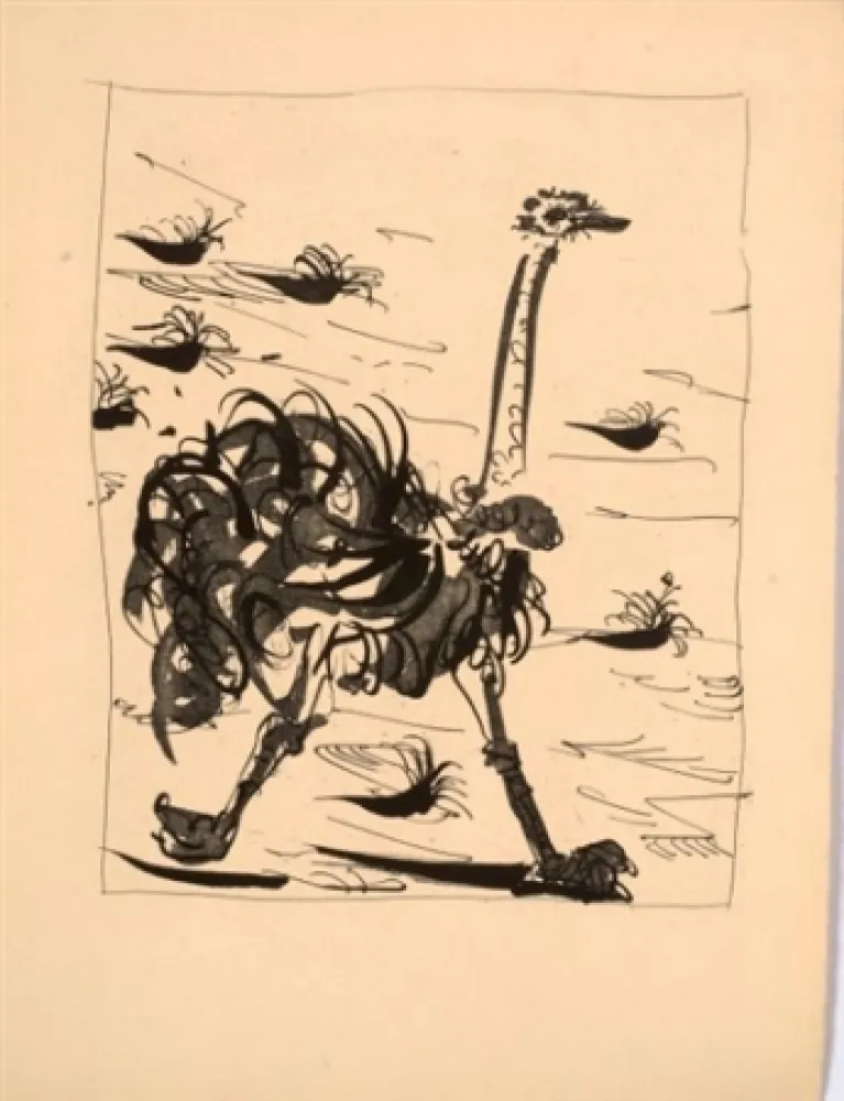 Aguatinta Picasso - L'autruche