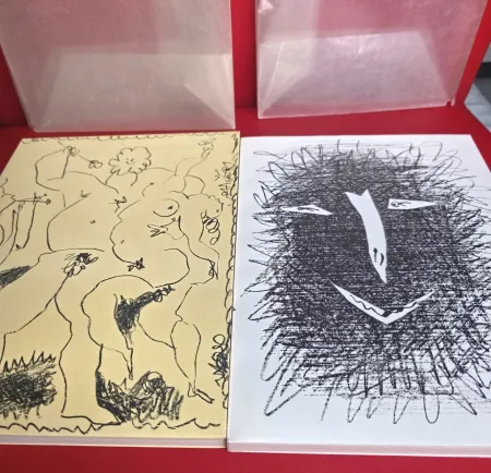 Libro Ilustrado Picasso - Mourlot Litographe III & IV Mint