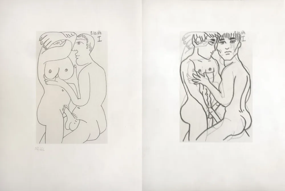 Sin Técnico Picasso - Picasso and Me 