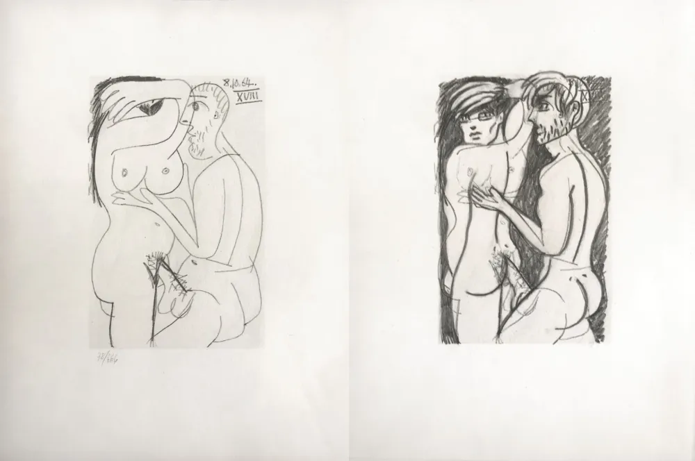 Sin Técnico Picasso - Picasso and Me 