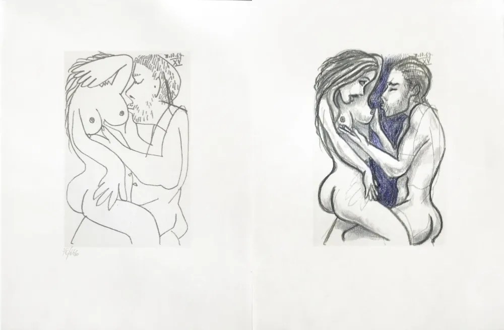 Sin Técnico Picasso - Picasso and Me 