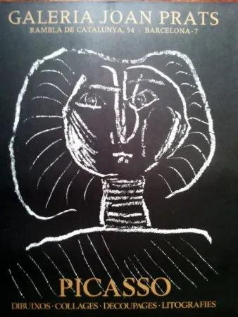 Cartel Picasso - S/T