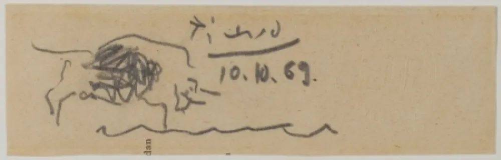 Sin Técnico Picasso - Toro (Bull)