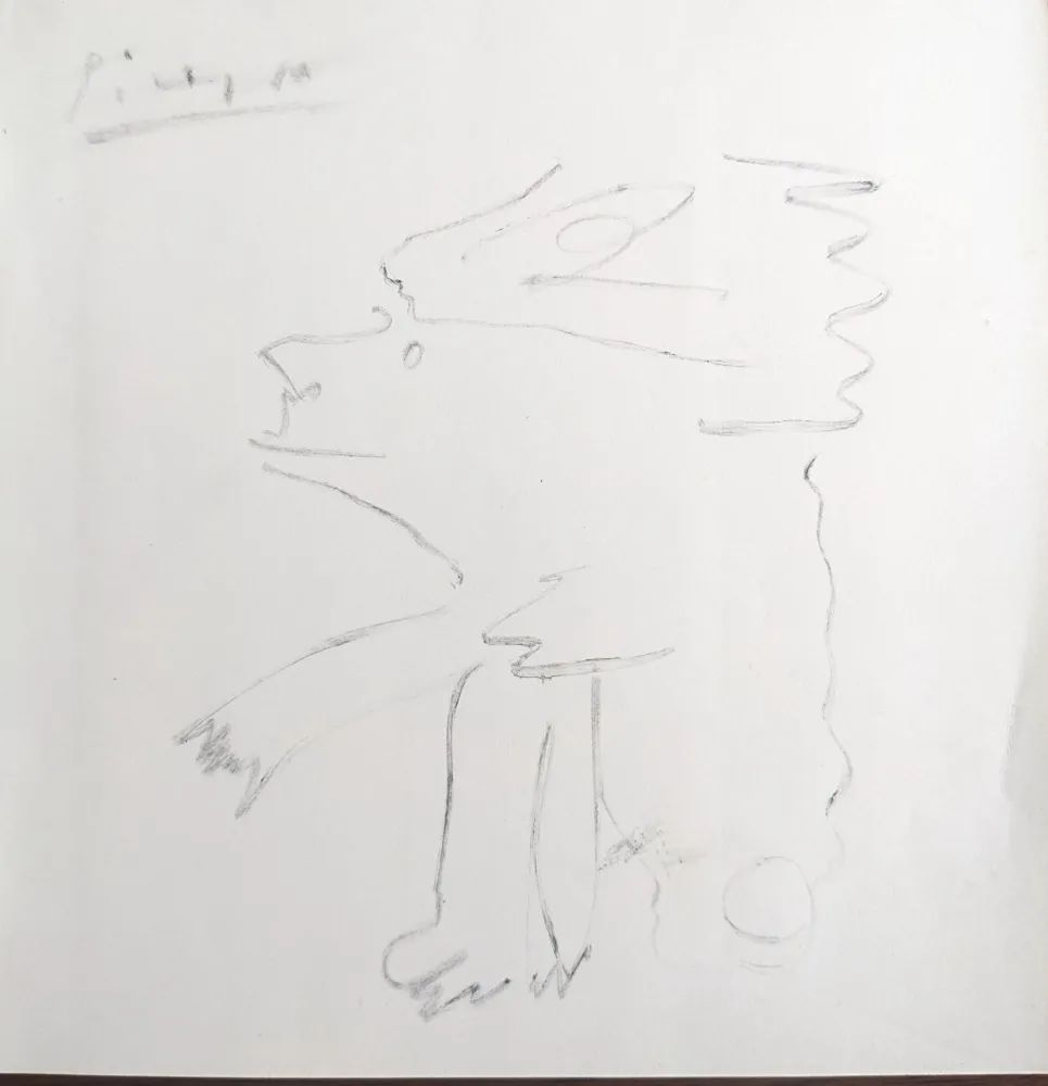 Sin Técnico Picasso - Untitled