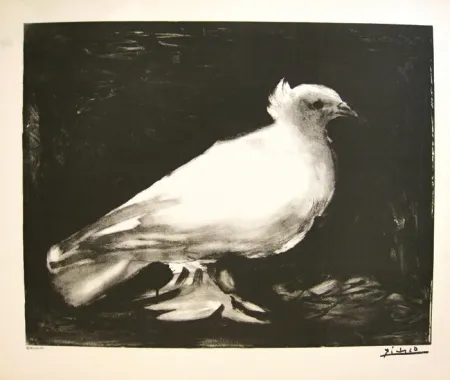Litografía Picasso - XXème anniversaire, mouvement de la paix (before lettering)