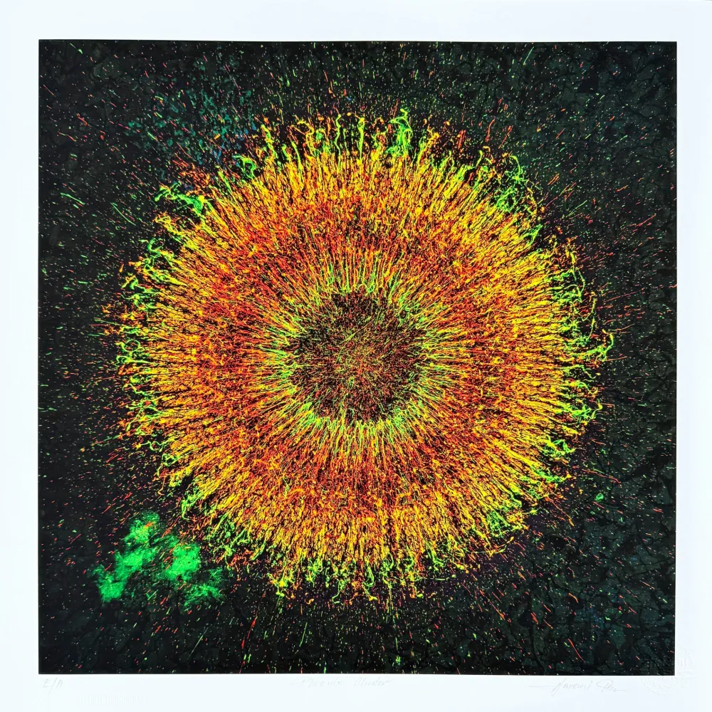 Estampa Numérica Picz - Phoenix Cluster