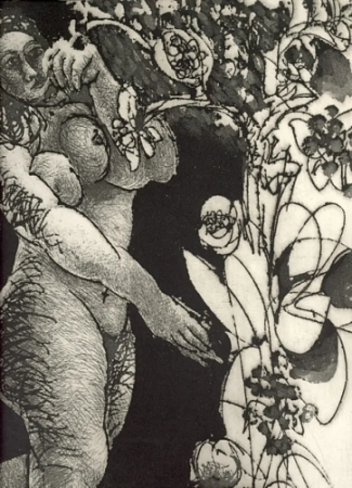 Libro Ilustrado Pignateli - Controra