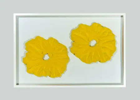 Sin Técnico Pinelli - Pittura G.