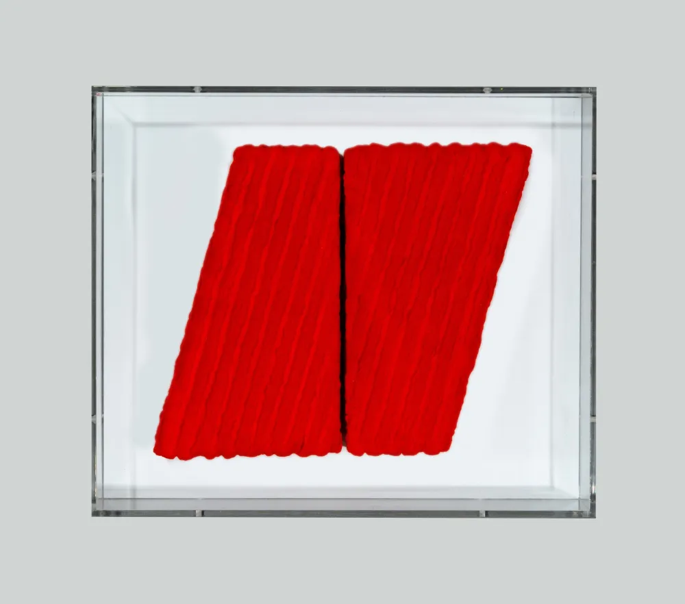 Sin Técnico Pinelli - Pittura R.