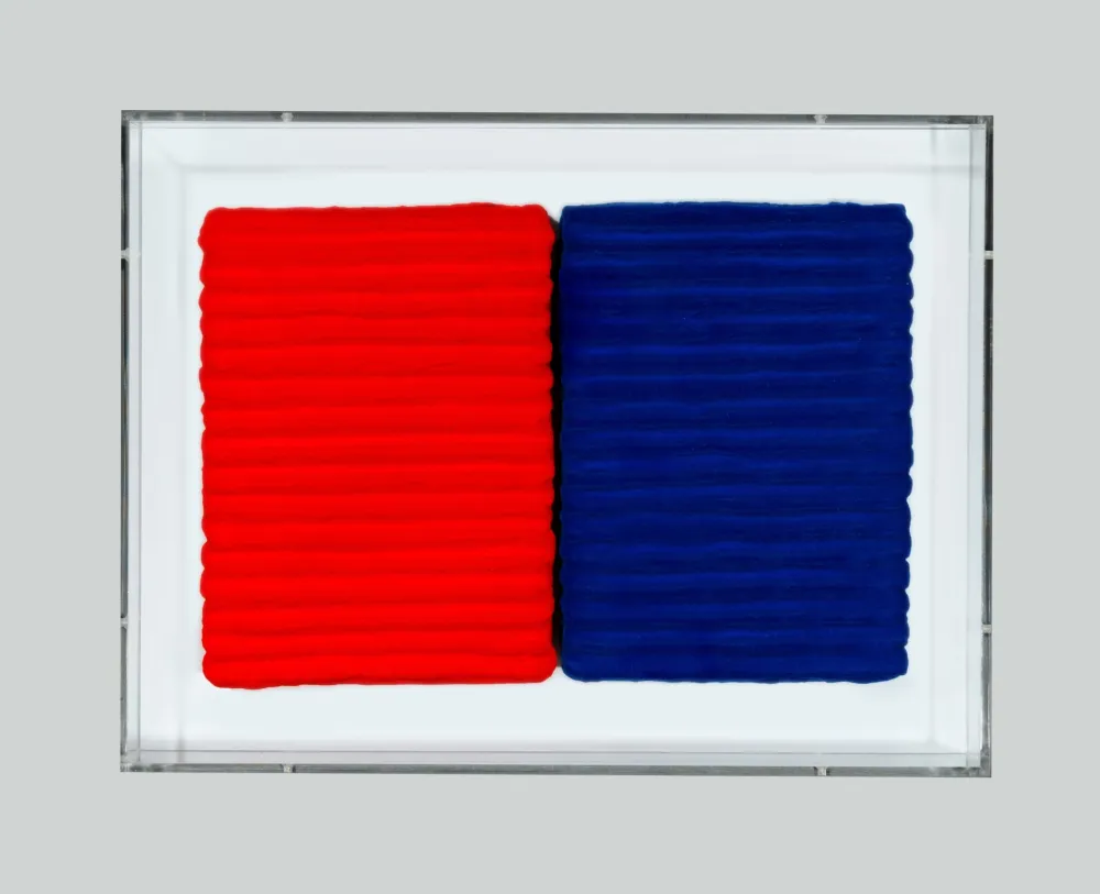 Sin Técnico Pinelli - Pittura R. BL