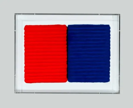 Sin Técnico Pinelli - Pittura R. BL