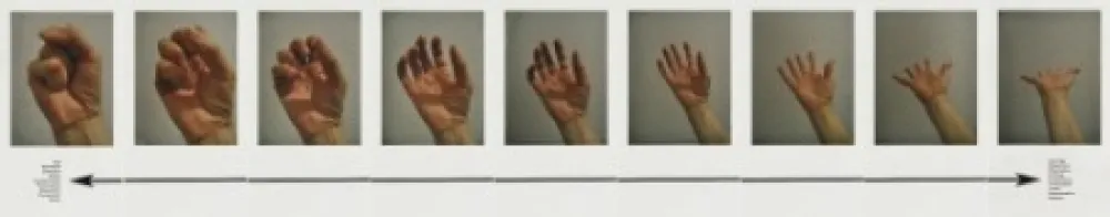 Múltiple Piper - Mokshamudra Progression