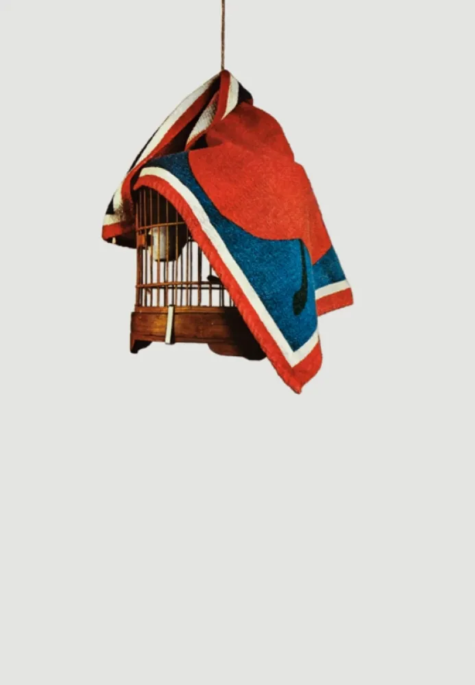 Serigrafía Pistoletto - La gabbietta