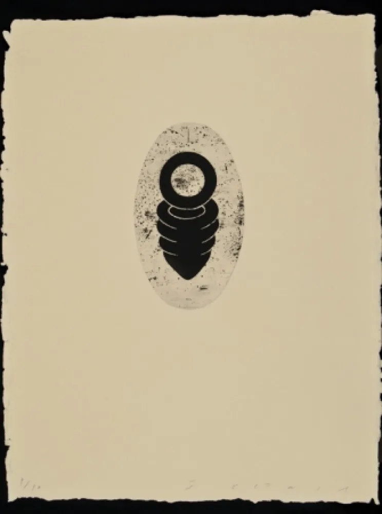 Aguafuerte Y Aguatinta Plensa - Suite Li