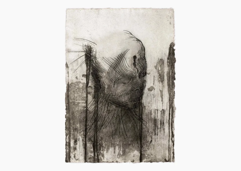 Grabado Plensa - Twins 1