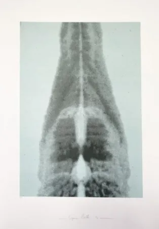 Múltiple Polke - Untitled (Columbus In Search of a New Tomorrow)